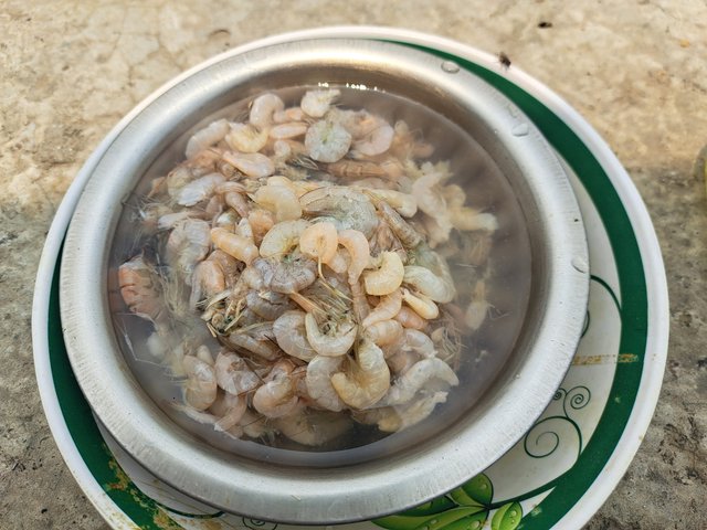 1000041688.jpg
