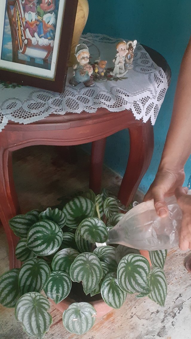 20200824_012914.jpg