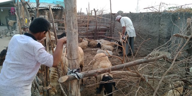 IMG20180514063817.jpg