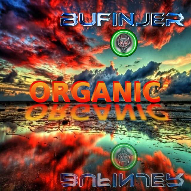 Bufinjer - Organic.jpg