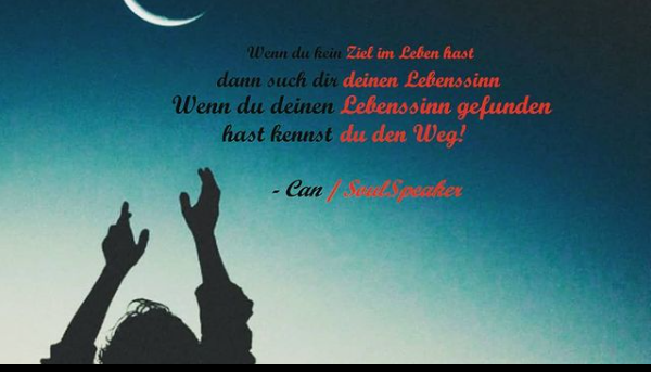 2021-02-23 22_15_53-Bewusstsein & Entwicklung (@_soulspeaker__) • Instagram-Fotos und -Videos.png