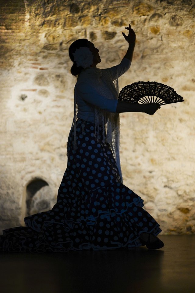 flamenco.jpeg