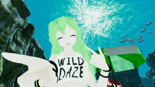 VRChat_1920x1080_2018-06-11_22-43-35.482.png