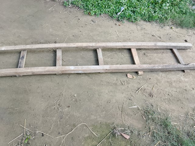 1000043096.jpg