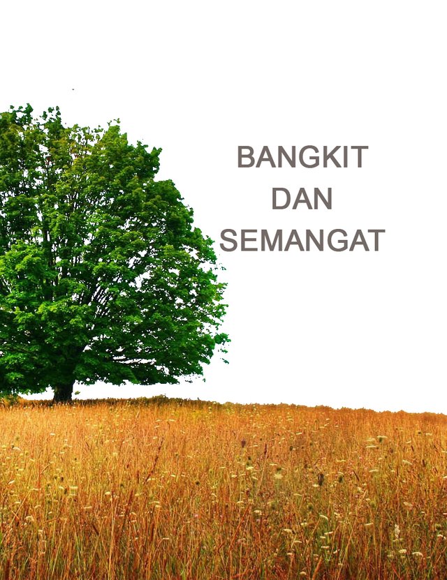 dodi-bangkit dan semangat for wattpad.jpg