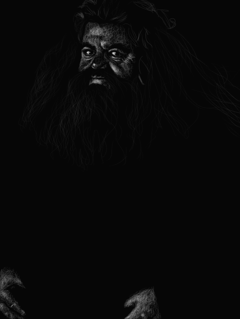 Hagrid3.png