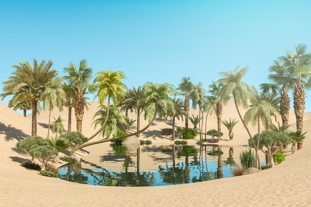 oasis-palm-trees-desert-oasis-palm-trees-desert-d-rendering-118268875.jpg