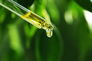 cannabis-oil-canada.jpg