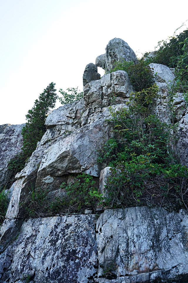 b-DSC08382.JPG