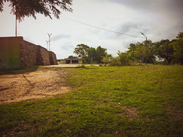 P1320745.jpg
