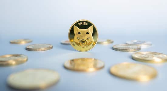 Shiba-Inu-12-1.jpg