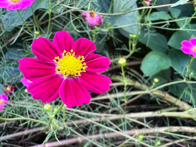 IMG_5139.jpeg