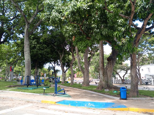 IMG_20250614_140528_823.jpg