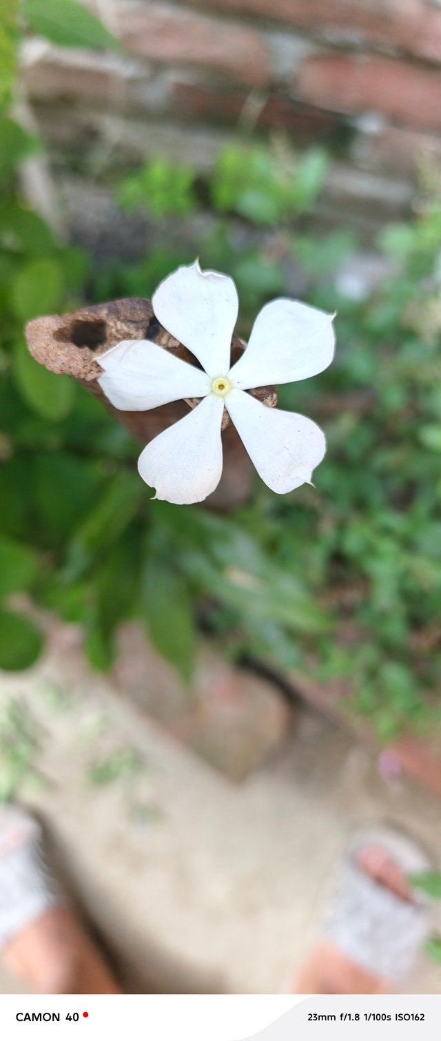 4224.jpg