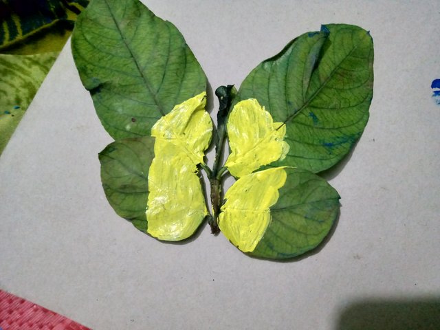 IMG20250718191225.jpg