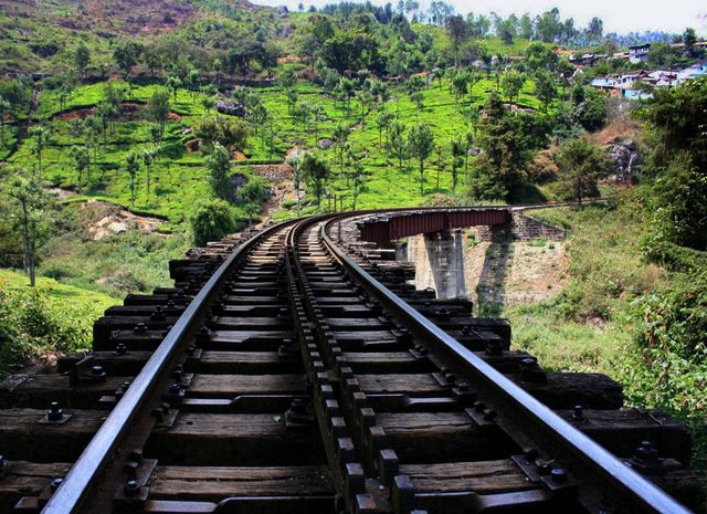 ooty-mountain-railway-track.jpg