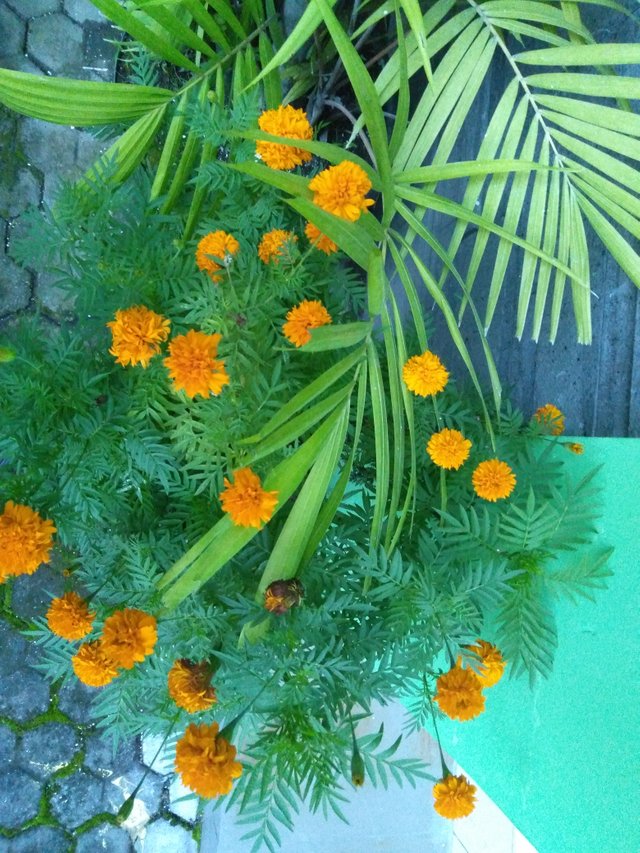 IMG20220324170639.jpg