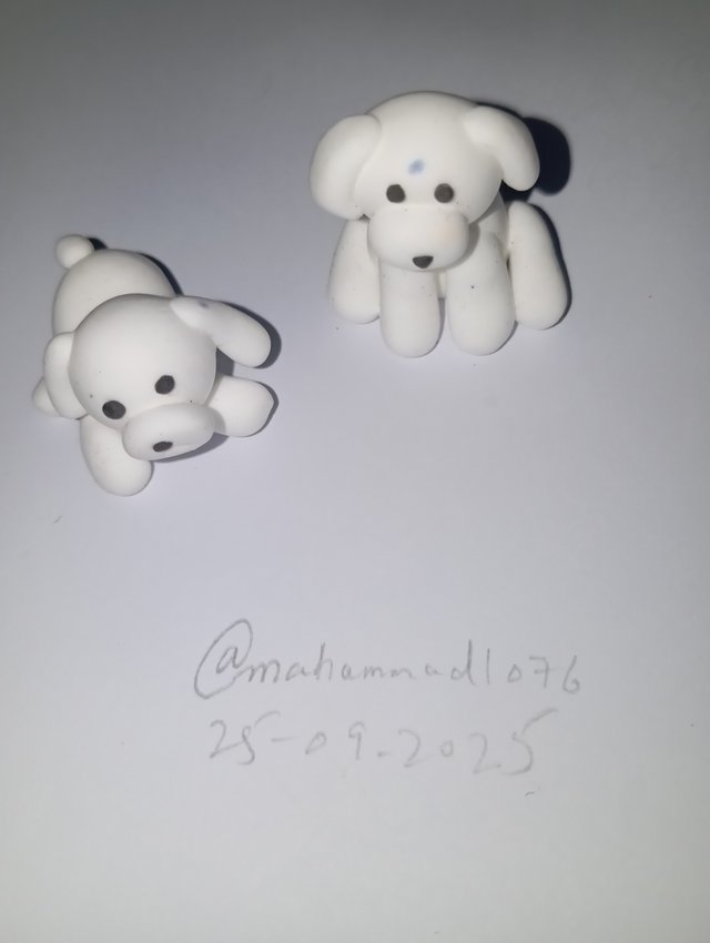 1000107886.jpg