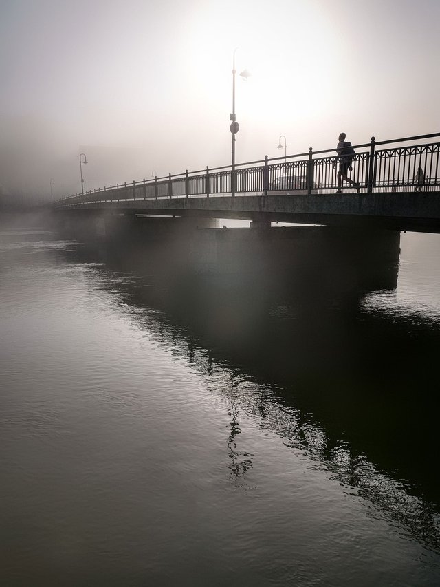 fog-6594102_1280.jpg