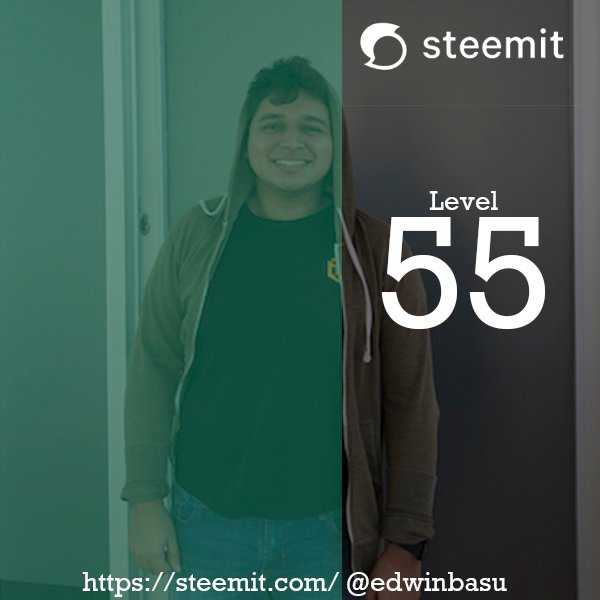 level 55 steemit.jpg