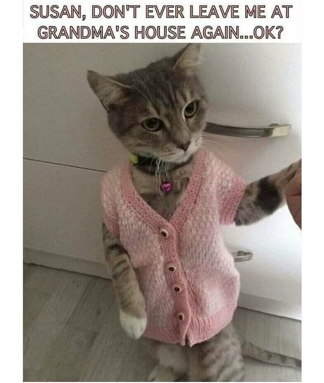 Grandmakitty.jpeg