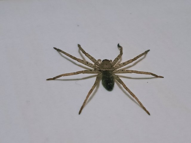 IMG20250329041028.jpg