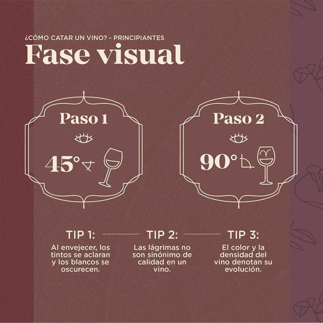 Sello Austral - Cómo catar un vino - Fase Visual.jpg