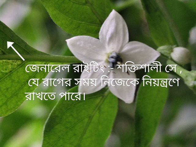 IMG_20250806_143906.jpg