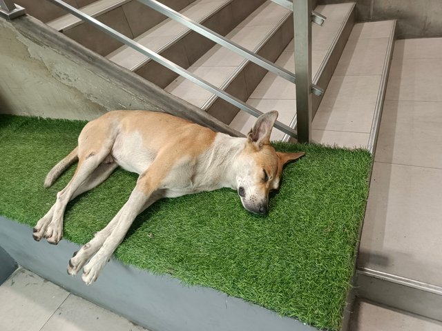 1000606827.jpg