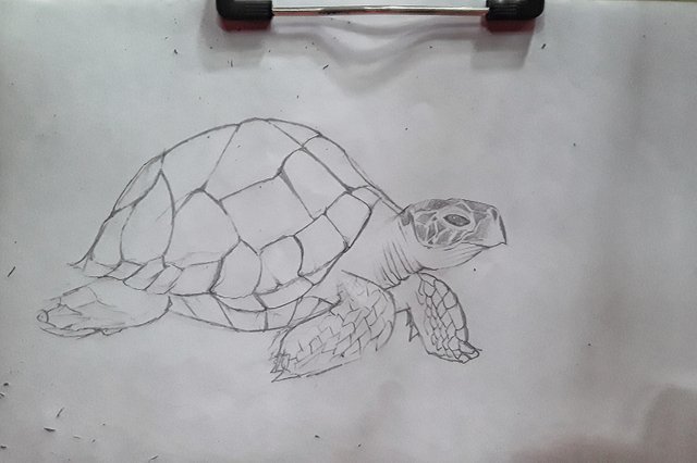 20230727_112731-01.jpeg