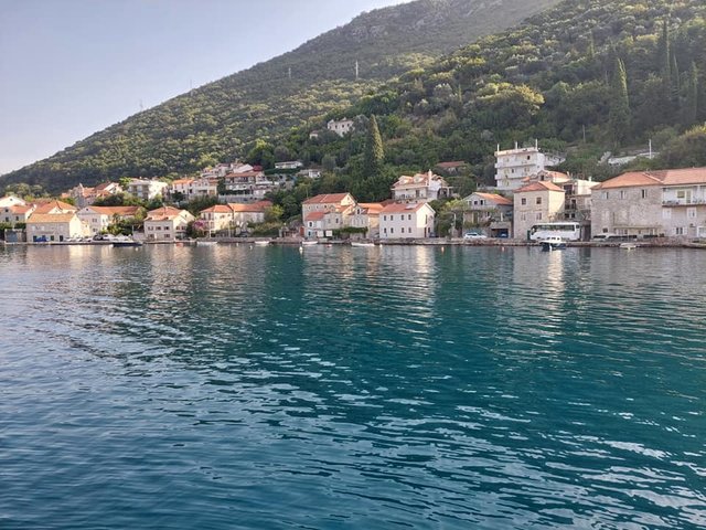 se (2).jpg