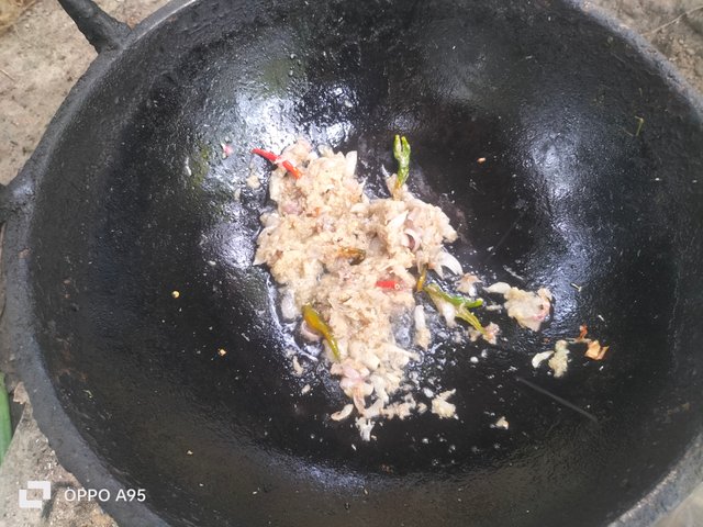 IMG20250610104927.jpg