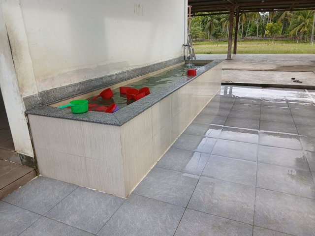 20250406_171159.jpg