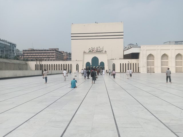 IMG_20241103_133946_343.jpg