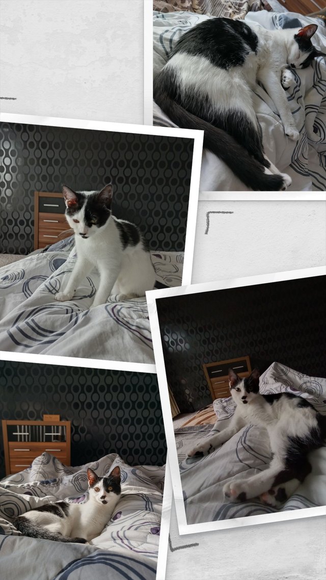IMG_20221217_162125-COLLAGE.jpg