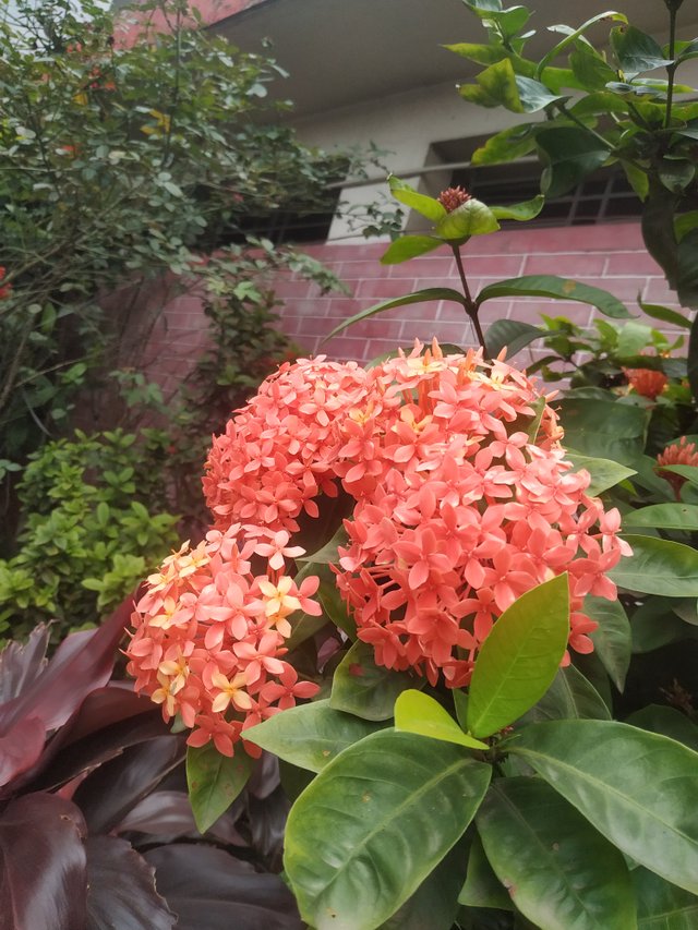 IMG_20250803_113514.jpg
