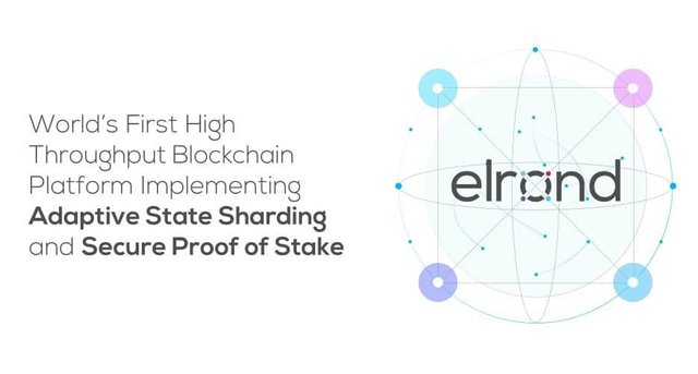 elrond-network-banner (1).jpg