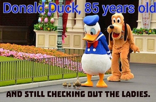 donaldduck_octogenarian_creepster.jpg