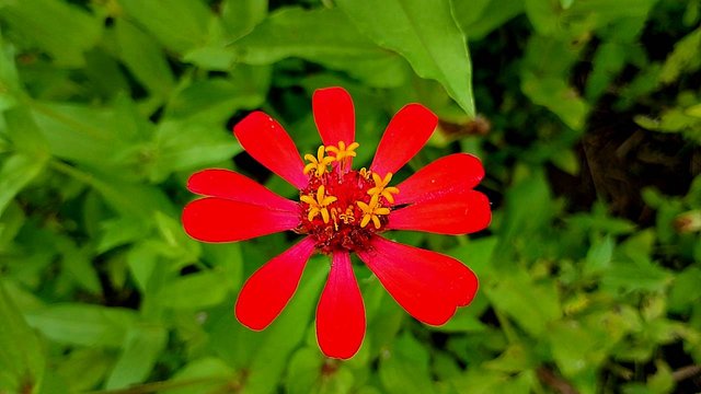 IMG_20250930_164114.jpg