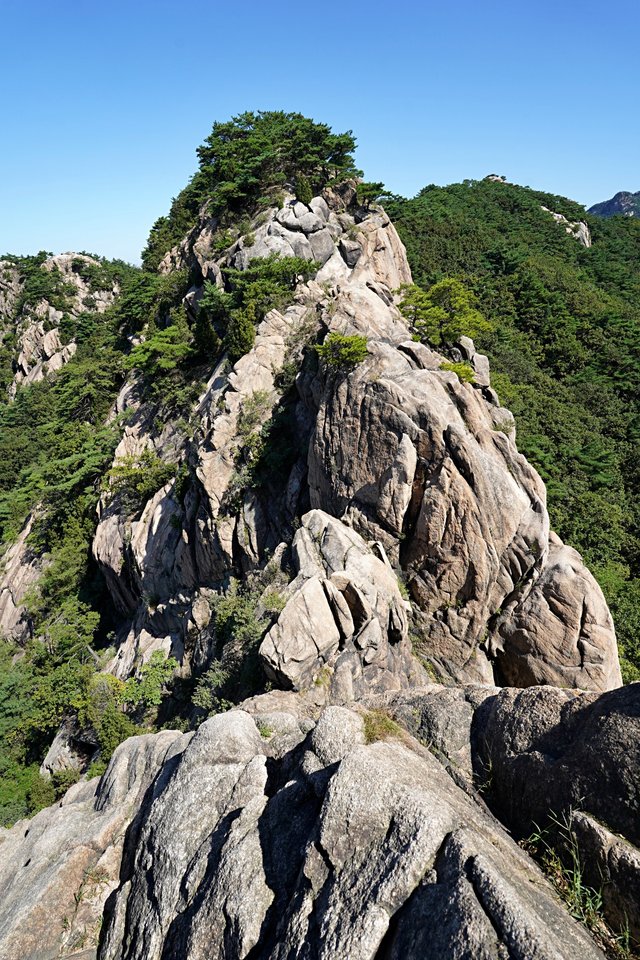b-DSC01346.JPG