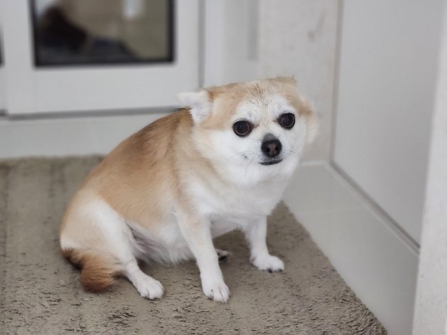 20220829_202003.jpg