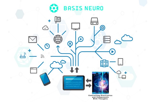 Basis neuro 4.jpg