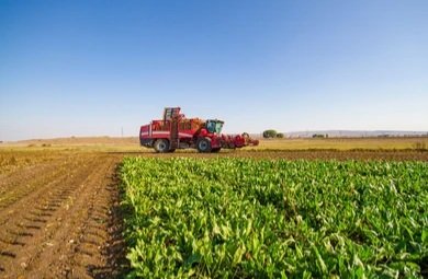 red-combine-harvester-harvest-sugar-260nw-1938807865.webp