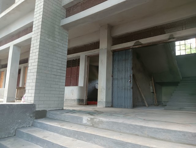 IMG20250725170147.jpg