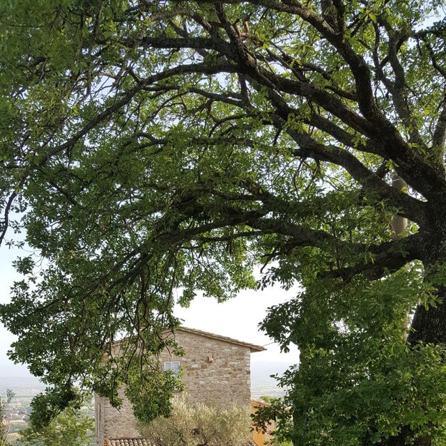 20190612_185824.jpg