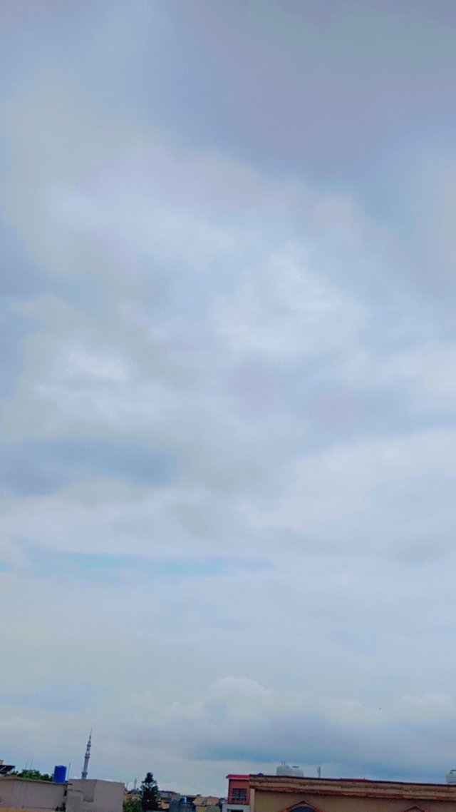 1000470255.jpg