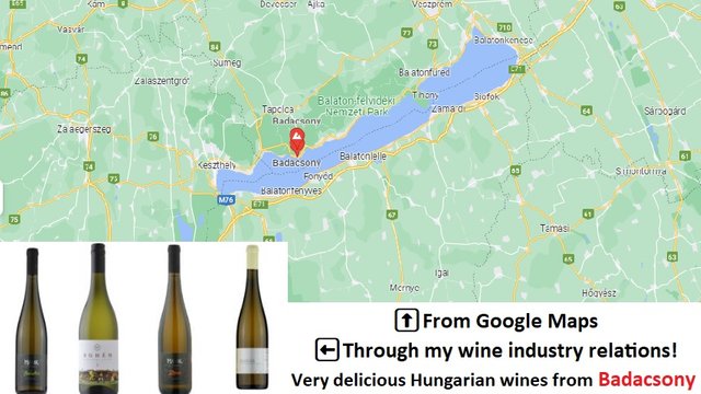 wines-from-Badacsony-and-map-created-by-GastroCrutch.jpg