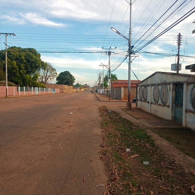IMG 005.jpg