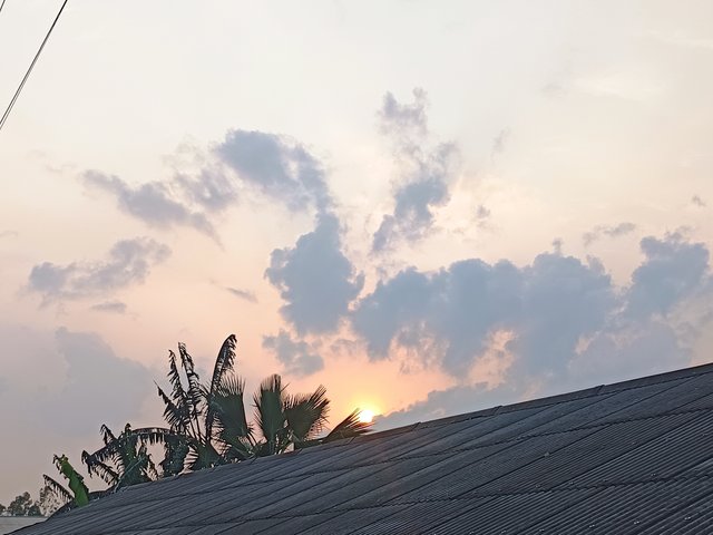 1000006150.jpg