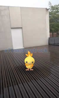 Shiny Torchic in the rain.jpg